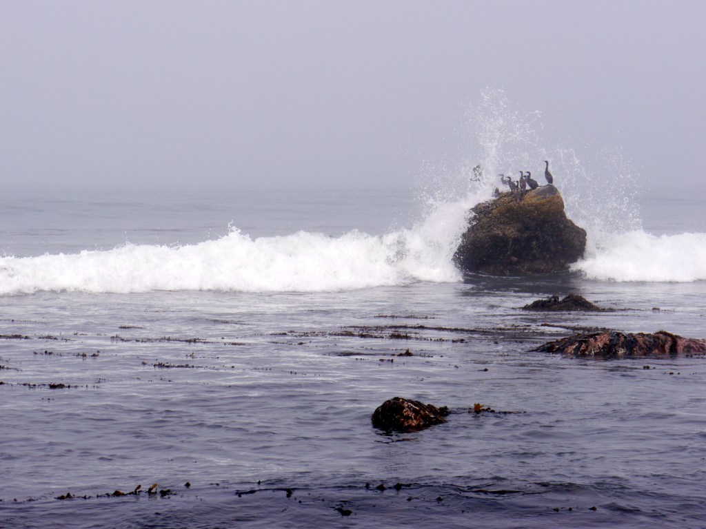P1070224