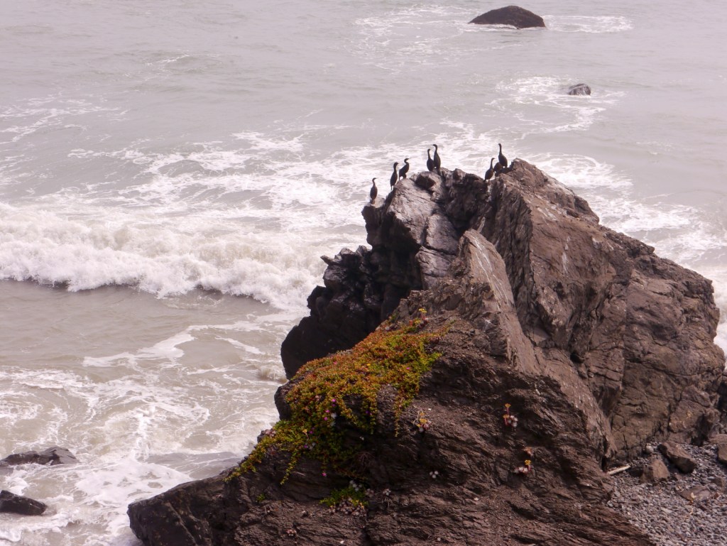 P1070286